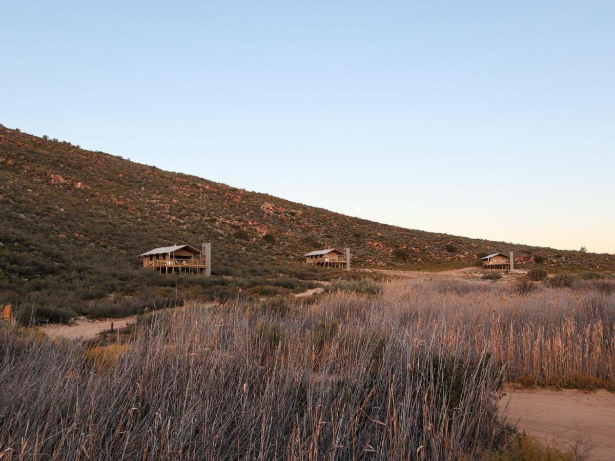 De DoornsAfricamps At Karoo 1别墅 外观 照片