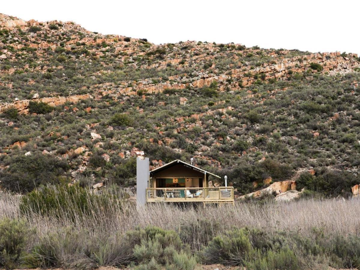 De DoornsAfricamps At Karoo 1别墅 外观 照片